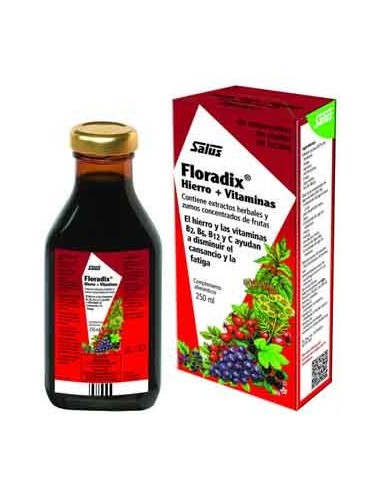 Floradix jarabe 250 ml de Salus